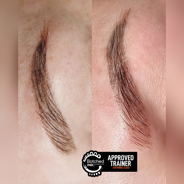 GridArt_20250207_151605246